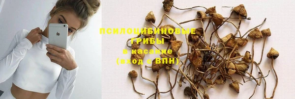 дживик Армянск