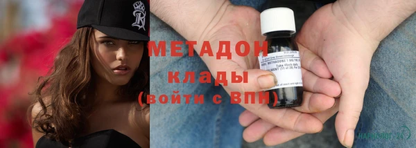 прущие грибы Беломорск