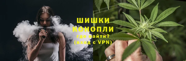 гидра Арсеньев