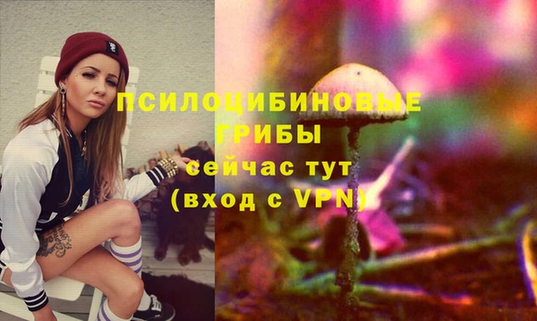 дурь Алексин